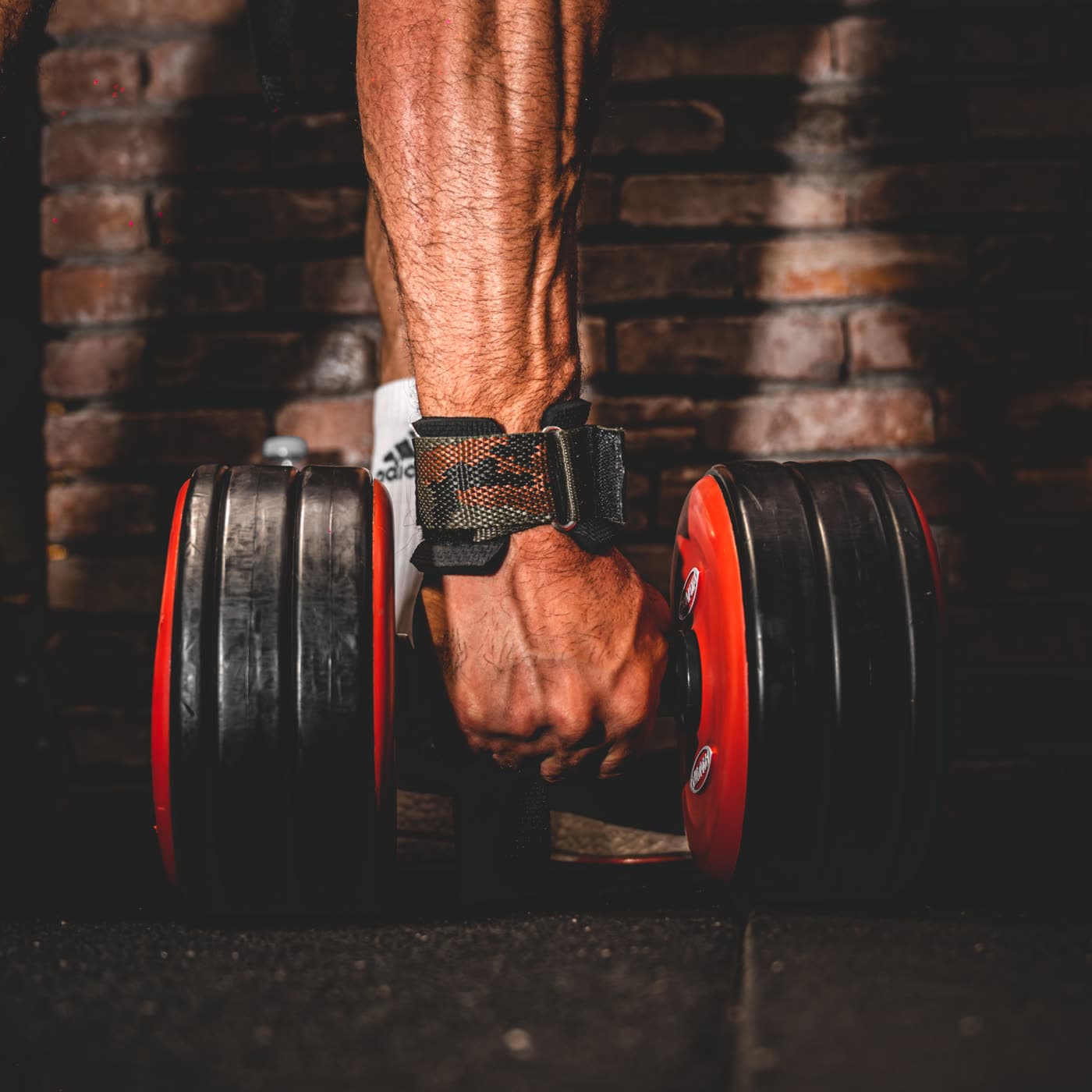 Training in Motion — image 1